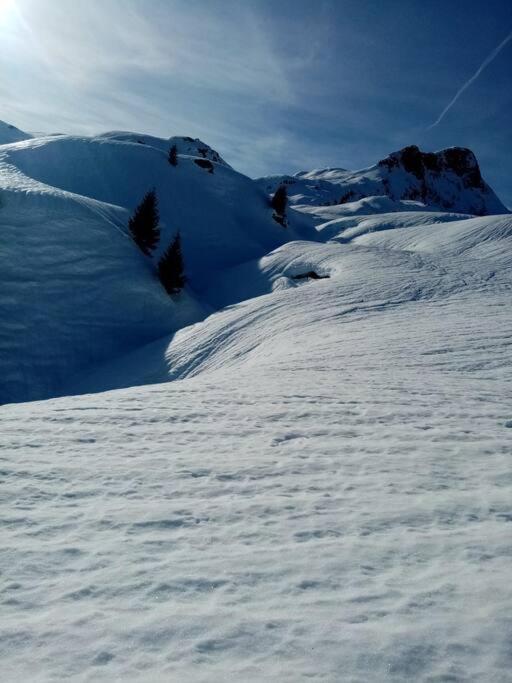 L'Appartement Les Bossons En Lisiere De Foret Dans Le Chalet Genepi Areches Exterior photo